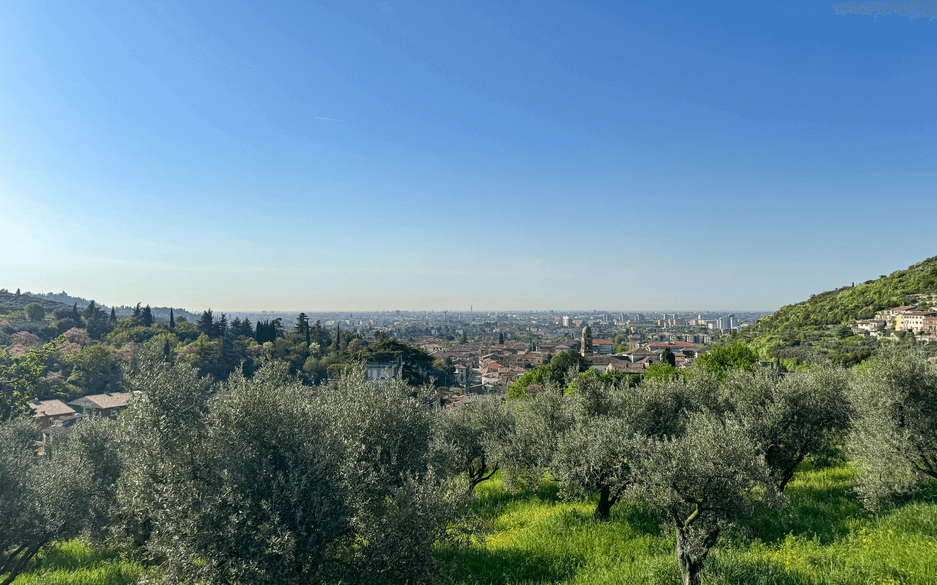 Verona Green Living – Intervista
